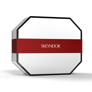 SKY-Bozicni_paket_box_red-500x500